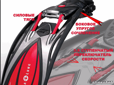 Как правильно выбрать ласты? Как правильно выбрать ласты?