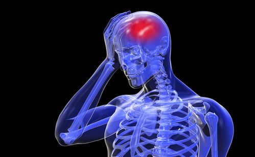 Нервные клетки определяют уровень собственного превосходства