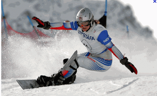 Зимние виды спорта