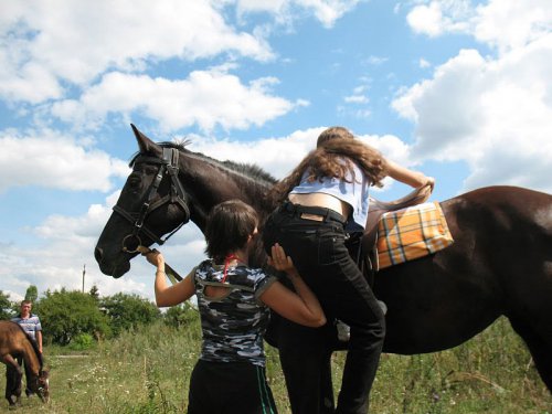 Обучение верховой езде