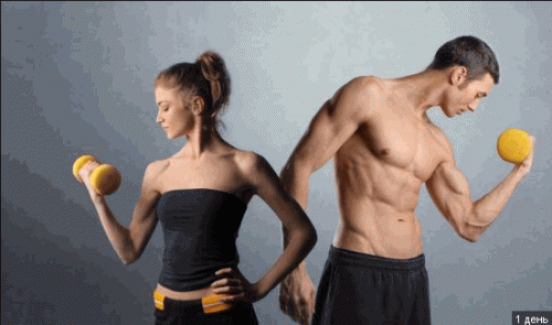 Тренировки в тренажерном зале Тренировки в тренажерном зале