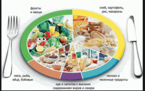 Ключ к успеху в наращивании мышечной массы