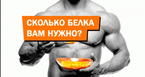 Ключ к успеху в наращивании мышечной массы