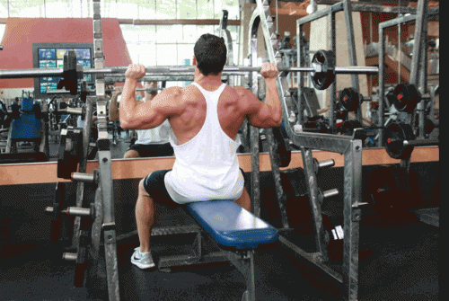 Посещение тренажерного зала: с чего начать?