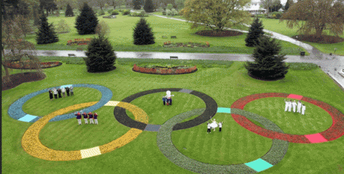 Олимпиада 2020