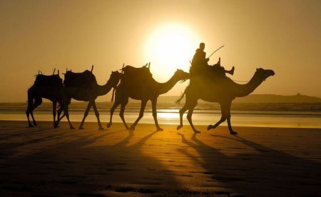 Тунис - ласковое солнце, лазурное море, прохлада оазисов, сказочная зелень рощ